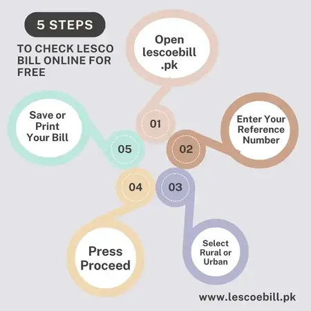 Infographic detail how to check lesco bill